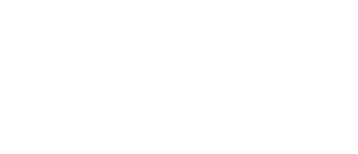 ZQ Form Disposable Cutlery